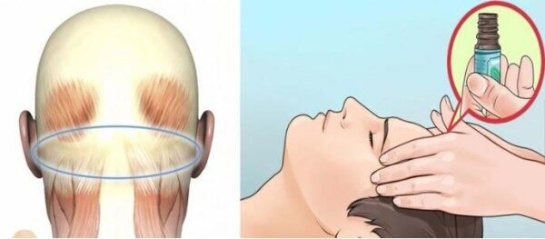 glava-e1453312624283-9233190