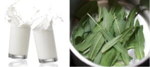 mz-e1450877936114-5931756