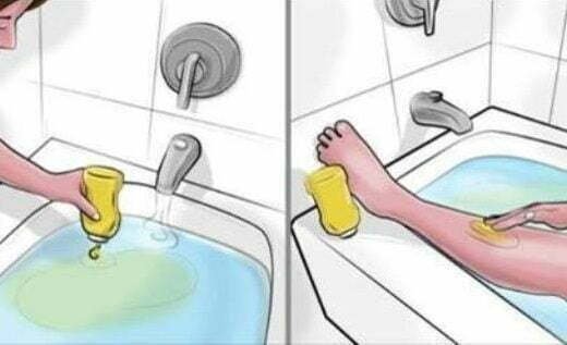 belco-1-520x317-8092382