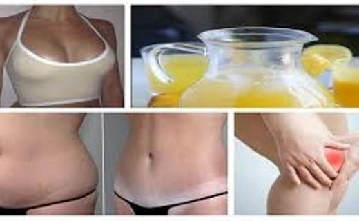 maga-1-1-520x320-5564628