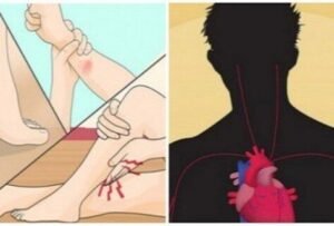 early-warnings-signs-your-bodys-magnesium-levels-are-dangerously-low-358x242-9537949