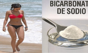 belco-520x318-6828726