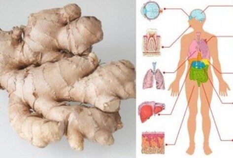 eat-ginger-every-day-for-1-month-and-this-will-happen-to-your-body-358x242-9137288