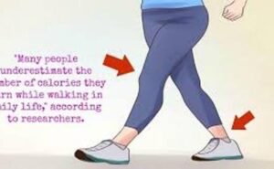 index-2-520x320-7107449