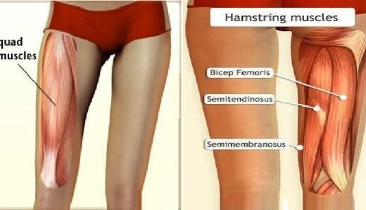 quad-520x299-1519161