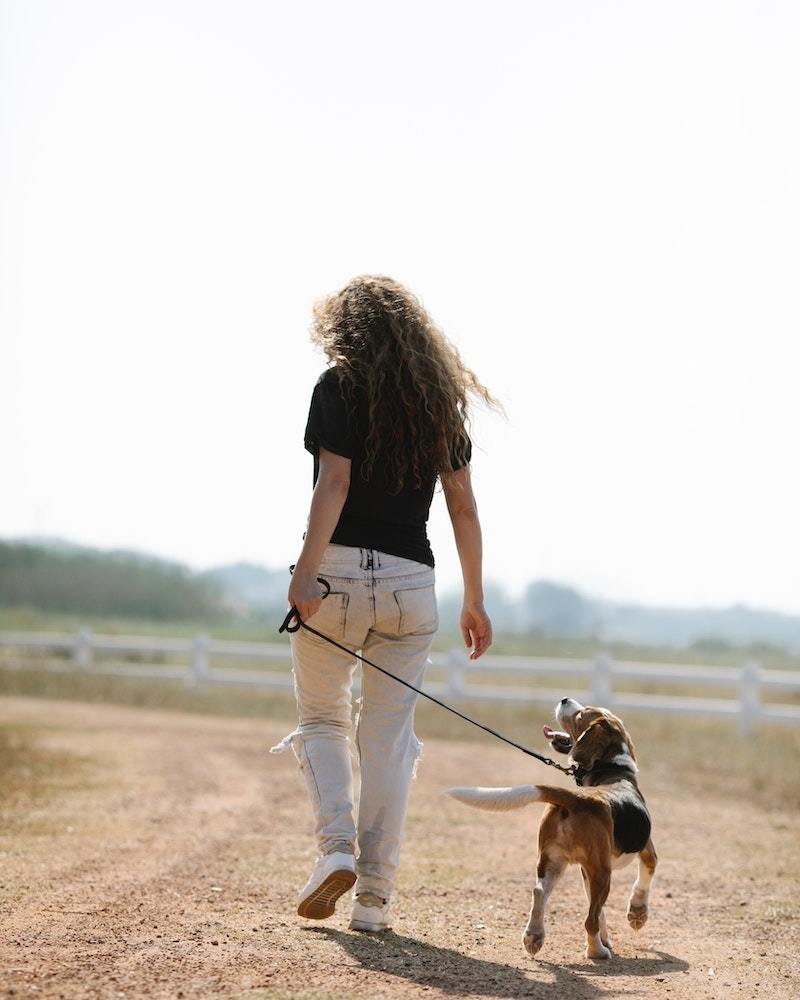 ALT: 5 tricks to slim your legs and tone them